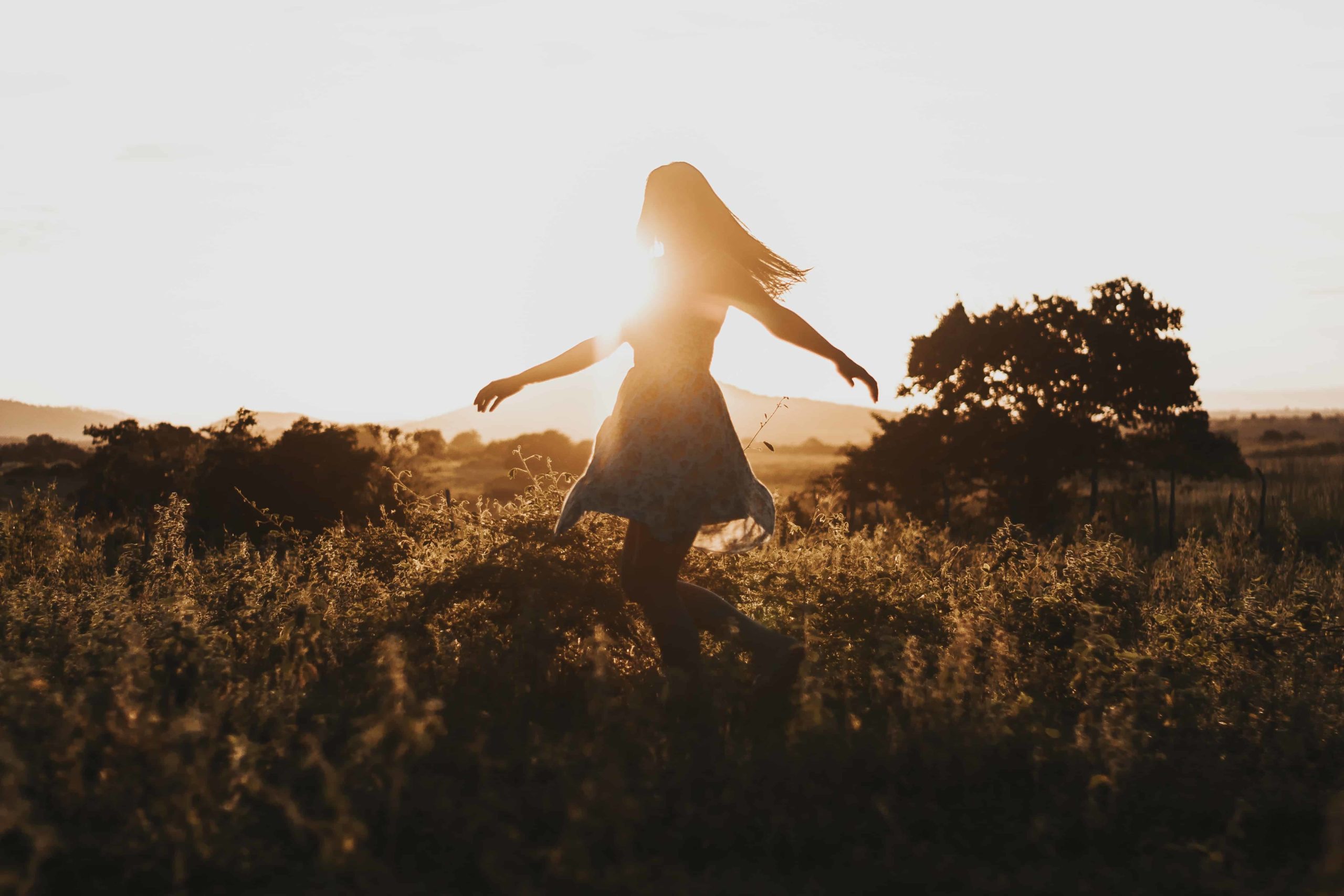 jackson-david-WUydTfaP3t4-unsplash (1)